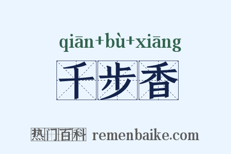 千步香是什么意思的图片